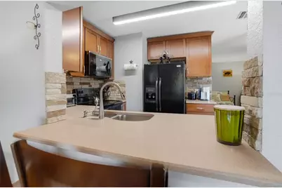 16511 Lake Brigadoon Circle, Tampa, FL 33618 - Photo 12