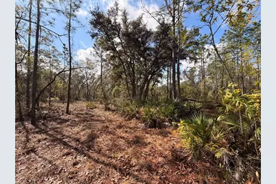 2 Linder Street, Homosassa, FL 34446 - Photo 18