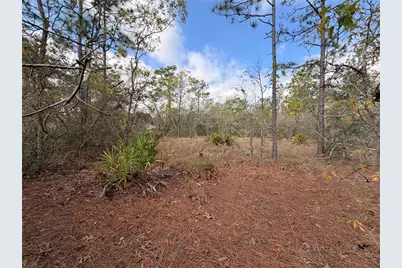 2 Linder Street, Homosassa, FL 34446 - Photo 24