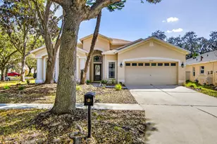 6002 Martinglade Pl, Lithia, FL 33547 - Photo 62