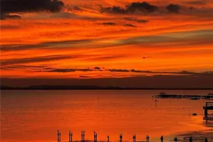 4950 Bayshore Blvd, Tampa, FL 33611 - Photo 98