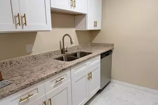 9217 Tudor Dr, Tampa, FL 33615 - Photo 4