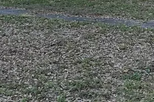 Gadsen Rd, Winter Haven, FL 33884 - Photo 1