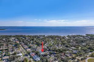 809 Duval Ct, Safety Harbor, FL 34695 - Photo 36