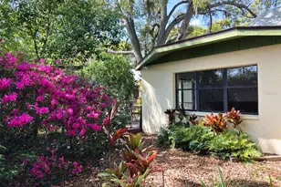 21004 Negril Ct, Lutz, FL 33558 - Photo 6