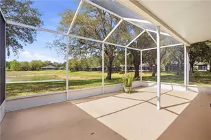 19112 White Wing Pl, Tampa, FL 33647 - Photo 8