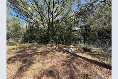 7304 23rd Street, Zephyrhills, FL 33540 - Photo 34