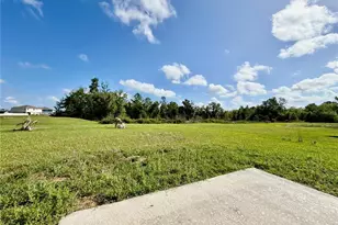 35657 Buttonweed Trl, Zephyrhills, FL 33541 - Photo 8