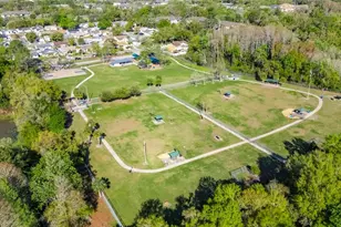 6704 Rosemary Dr, Tampa, FL 33625 - Photo 40