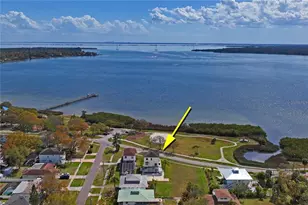 402 Shore Dr W, Oldsmar, FL 34677 - Photo 48