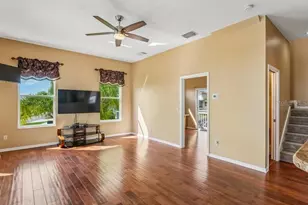 402 Shore Dr W, Oldsmar, FL 34677 - Photo 6