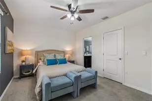 33083 Frosted Clover Wy, Wesley Chapel, FL 33545 - Photo 38