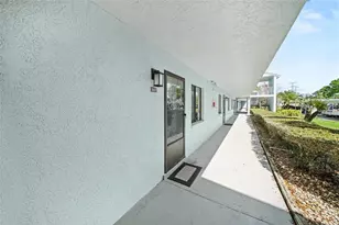 303 Martha Ln, Oldsmar, FL 34677 - Photo 4