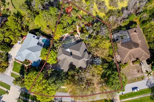 2780 Long Putt Ct, Palm Harbor, FL 34683 - Photo 80