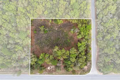 161 W Norvell Bryant Highway, Hernando, FL 34442 - Photo 20