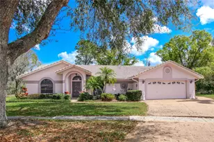 1003 Calle Rosa Pl, Sun City Center, FL 33573 - Photo 1