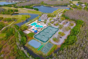 4021 Fishermans Cove Ct, Lutz, FL 33558 - Photo 56