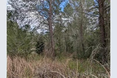 0 Gannet Avenue, Weeki Wachee, FL 34613 - Photo 6