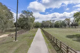 15131 Bellamy Brothers Blvd, Dade City, FL 33525 - Photo 92