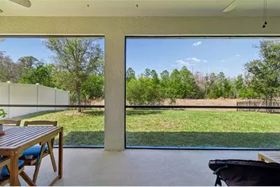 2959 Storybrook Preserve Drive, Odessa, FL 33556 - Photo 40
