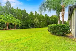 1122 Nashville Dr, Wesley Chapel, FL 33544 - Photo 36