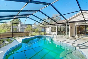 1040 Sawyers Ct, Lutz, FL 33559 - Photo 60
