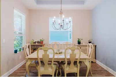 6516 Salt Creek Avenue, Apollo Beach, FL 33572 - Photo 14