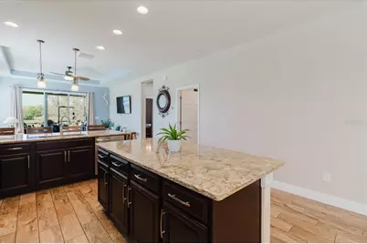 6516 Salt Creek Avenue, Apollo Beach, FL 33572 - Photo 24