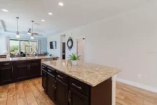 6516 Salt Creek Ave, Apollo Beach, FL 33572 - Photo 24