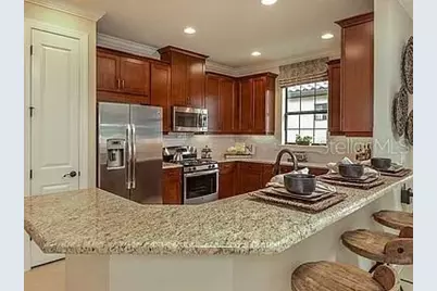 11119 Callisia Drive, Odessa, FL 33556 - Photo 6