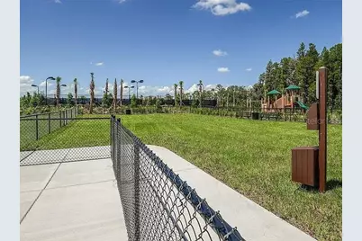 11119 Callisia Drive, Odessa, FL 33556 - Photo 34