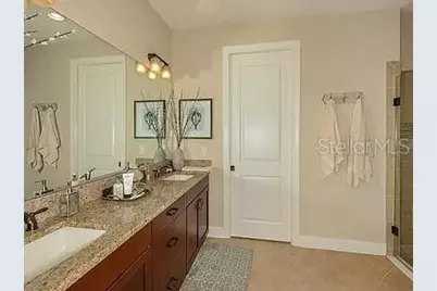 11119 Callisia Drive, Odessa, FL 33556 - Photo 10