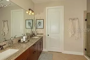 11119 Callisia Dr, Odessa, FL 33556 - Photo 10