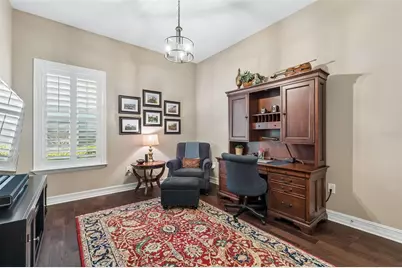 29190 Picana Lane, Wesley Chapel, FL 33543 - Photo 52