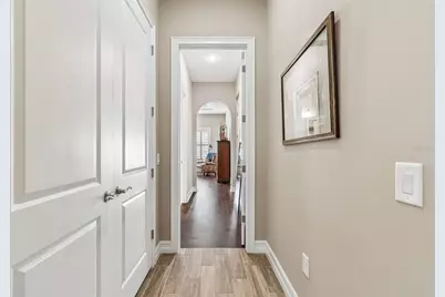 29190 Picana Lane, Wesley Chapel, FL 33543 - Photo 56