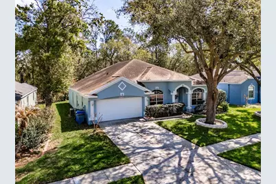 3732 Hollow Wood Drive, Valrico, FL 33596 - Photo 4