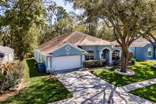 3732 Hollow Wood Dr, Valrico, FL 33596 - Photo 4