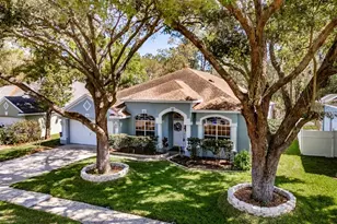3732 Hollow Wood Dr, Valrico, FL 33596 - Photo 42