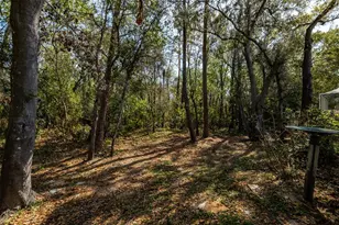 3732 Hollow Wood Dr, Valrico, FL 33596 - Photo 40