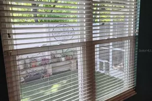 10115 Mowry Ln, Tampa, FL 33625 - Photo 12