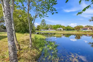 22127 River Rock Dr, Land O Lakes, FL 34639 - Photo 50