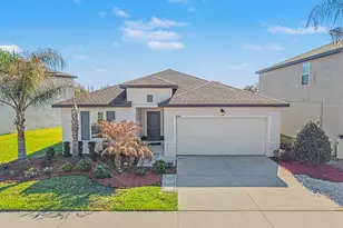 6938 Shelby Lynn Way, Zephyrhills, FL 33542 - Photo 1