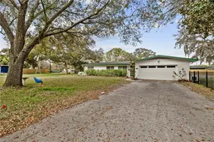 12902 Forest Hills Dr, Tampa, FL 33612 - Photo 2