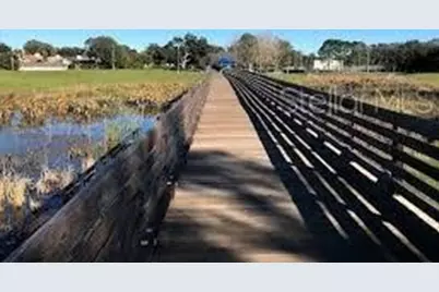 1600 N Old Coachman Rd Road #806, Clearwater, FL 33765 - Photo 12