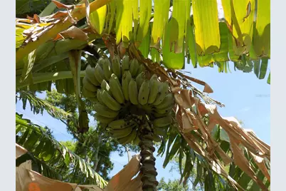 2168 Kent Avenue, Clearwater, FL 33764 - Photo 36