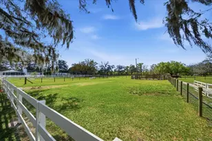 9449 Roberts Rd, Odessa, FL 33556 - Photo 60