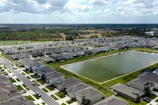 33888 Field Maple Loop, Wesley Chapel, FL 33545 - Photo 54