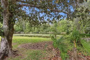 7209 Magnolia Valley Dr, New Port Richey, FL 34653 - Photo 20