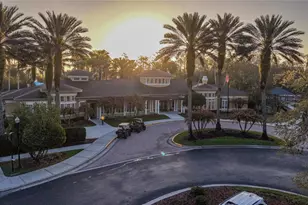 3439 Hickory Hammock Loop, Wesley Chapel, FL 33544 - Photo 52