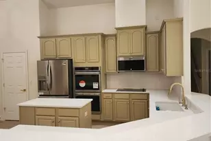 3439 Hickory Hammock Loop, Wesley Chapel, FL 33544 - Photo 46